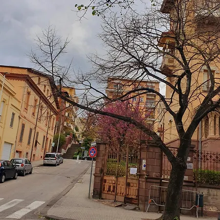 Pedrissa